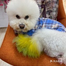 2021年6月18日 候睦寵物美容服務(wù)部信息查詢指南（基于360地圖）