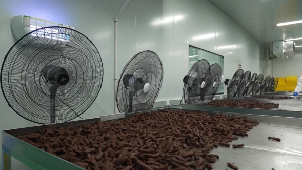 開發區肉牛產品 以“?！逼焚|征服全國市場